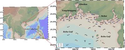 Occurrence of Microplastic Pollution in the Beibu Gulf, the Northern South China Sea